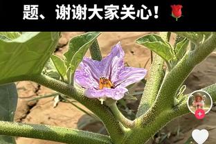 效率很高！蒙克14投9中&三分7中4砍26分4助 末节独得11分